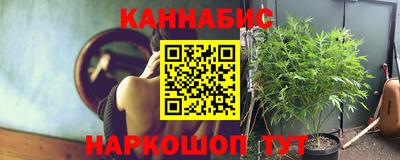 прущие крисы Лесосибирск