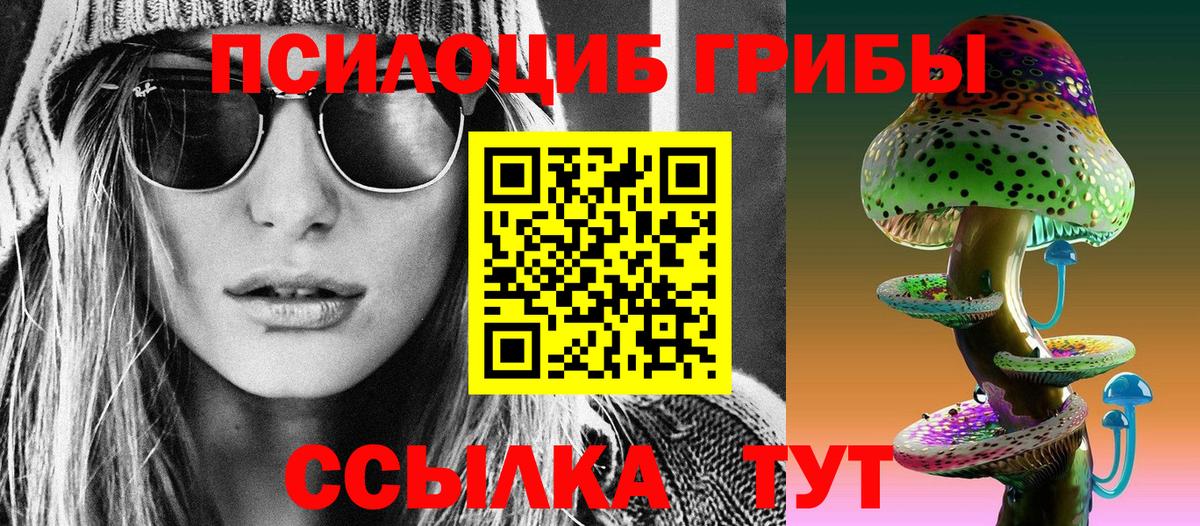 Псилоцибиновые грибы Cubensis Димитровград