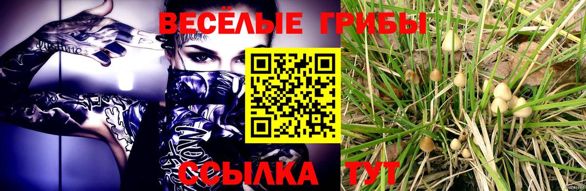 Галлюциногенные грибы Magic Shrooms  Вход с VPN  Псилоцибиновые грибы Psilocybine cubensis  Димитровград 